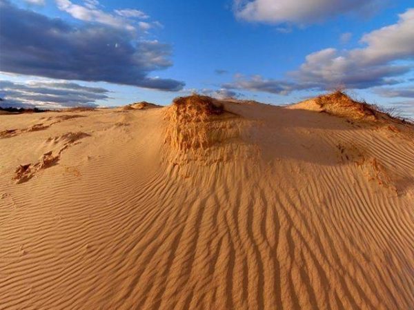 Українська Сахара: Олешківські піски – унікальне місце в Європі! – Українці  Сьогодні