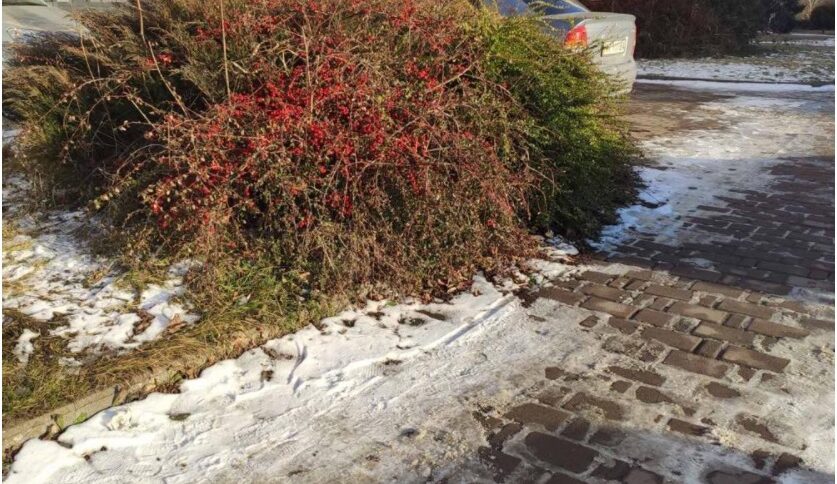 Незадовго до того, як тата не стало, все своє майно – і квартиру, і ...